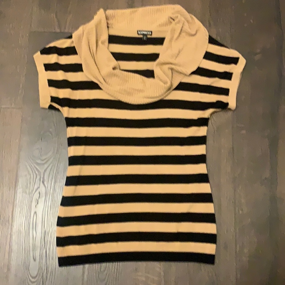 Express Cowl Neck Sweater